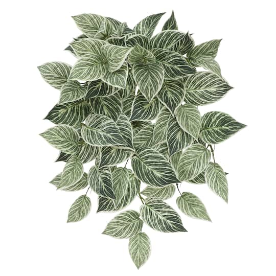 23" Philodendron Birkin Hanging Bush by Ashland®